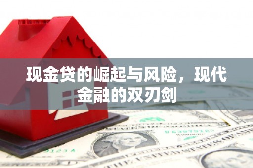 岚皋现金贷的崛起与风险，现代金融的双刃剑