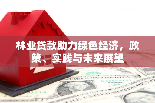 岚皋林业贷款助力绿色经济，政策、实践与未来展望