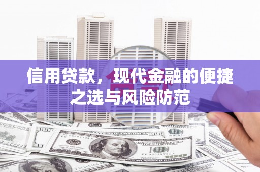 岚皋信用贷款，现代金融的便捷之选与风险防范