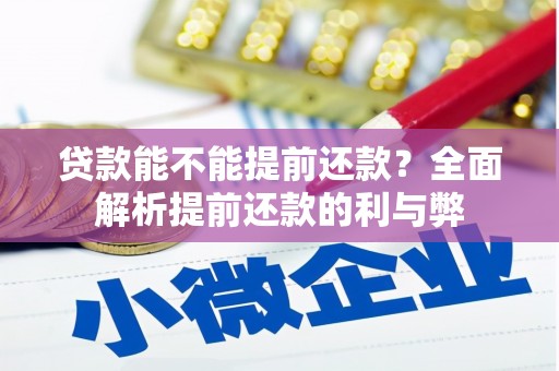 岚皋贷款能不能提前还款？全面解析提前还款的利与弊