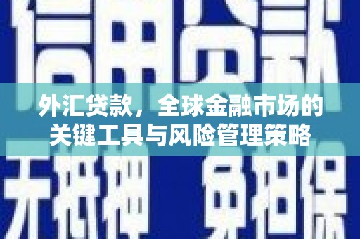 岚皋外汇贷款，全球金融市场的关键工具与风险管理策略