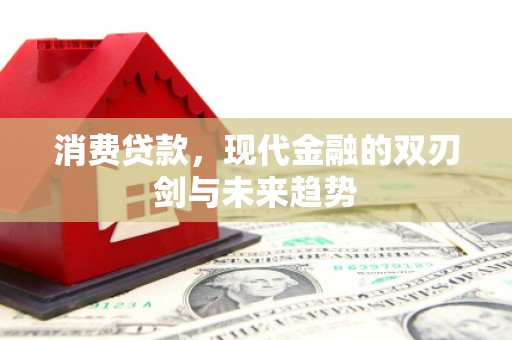 岚皋消费贷款，现代金融的双刃剑与未来趋势