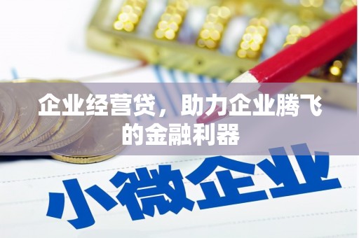 岚皋企业经营贷，助力企业腾飞的金融利器