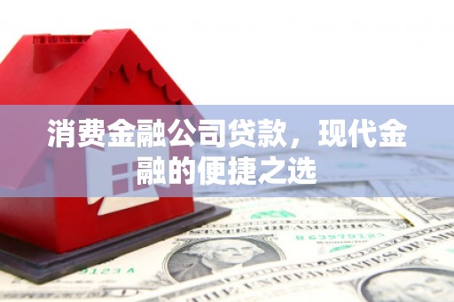 岚皋消费金融公司贷款，现代金融的便捷之选