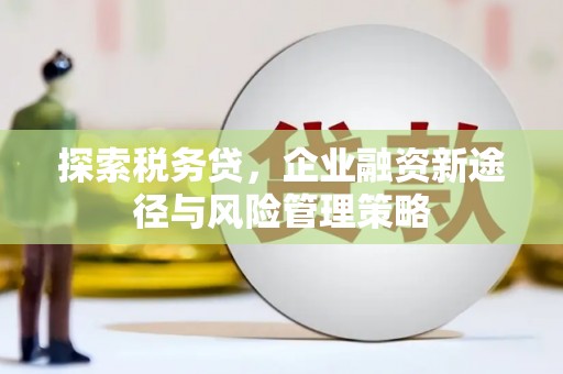 岚皋探索税务贷，企业融资新途径与风险管理策略