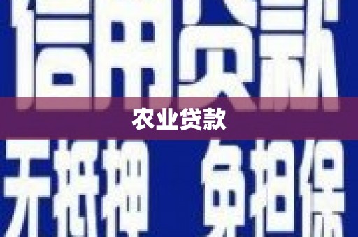 岚皋农业贷款