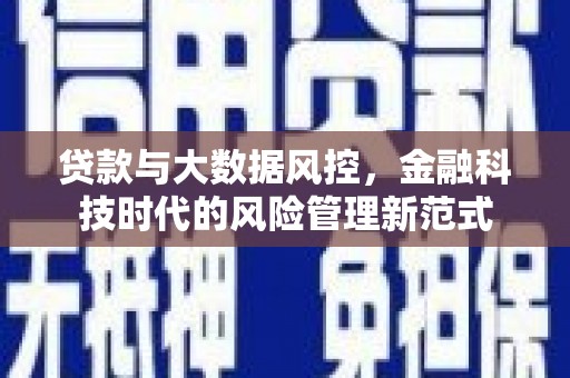 岚皋贷款与大数据风控，金融科技时代的风险管理新范式