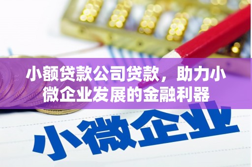 岚皋小额贷款公司贷款，助力小微企业发展的金融利器