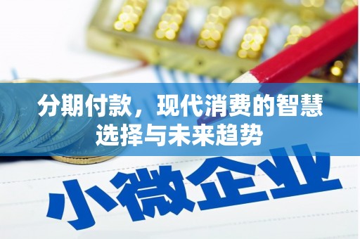 岚皋分期付款，现代消费的智慧选择与未来趋势