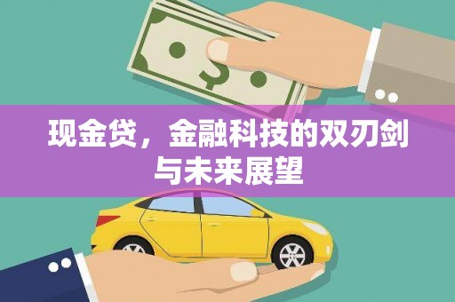 岚皋现金贷，金融科技的双刃剑与未来展望