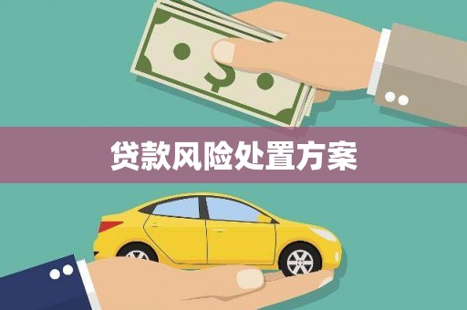 岚皋贷款风险处置方案