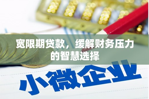 岚皋宽限期贷款，缓解财务压力的智慧选择