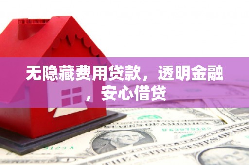 岚皋无隐藏费用贷款，透明金融，安心借贷