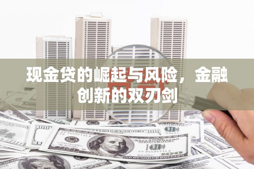 岚皋现金贷的崛起与风险，金融创新的双刃剑