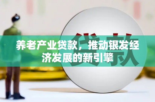 岚皋养老产业贷款，推动银发经济发展的新引擎