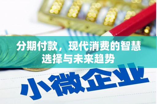 岚皋分期付款，现代消费的智慧选择与未来趋势