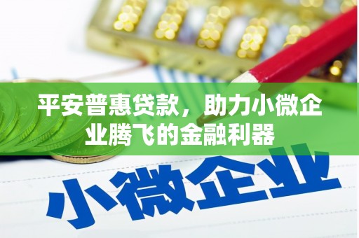 岚皋平安普惠贷款，助力小微企业腾飞的金融利器