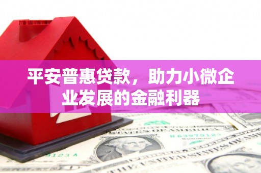 岚皋平安普惠贷款，助力小微企业发展的金融利器
