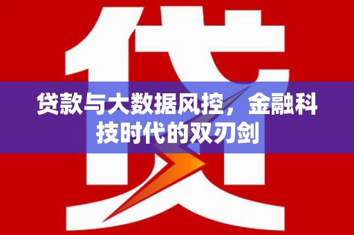 岚皋贷款与大数据风控，金融科技时代的双刃剑