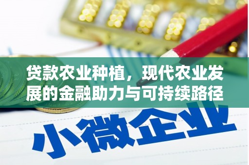岚皋贷款农业种植，现代农业发展的金融助力与可持续路径