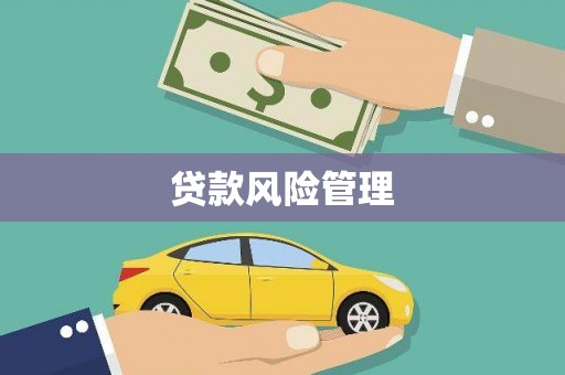 岚皋贷款风险管理