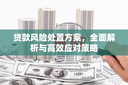 岚皋贷款风险处置方案，全面解析与高效应对策略
