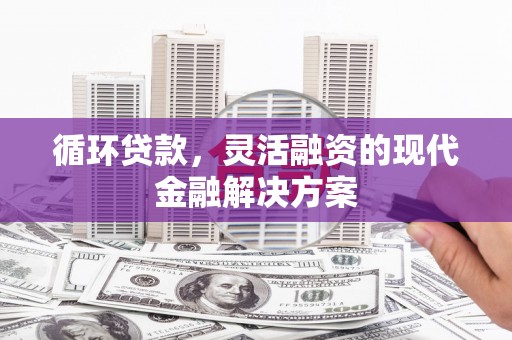 岚皋循环贷款，灵活融资的现代金融解决方案