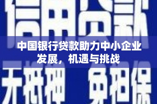 岚皋中国银行贷款助力中小企业发展，机遇与挑战