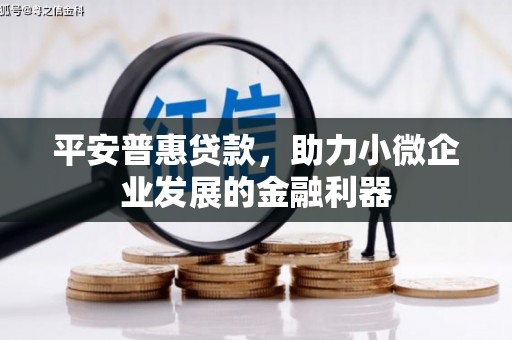 岚皋平安普惠贷款，助力小微企业发展的金融利器