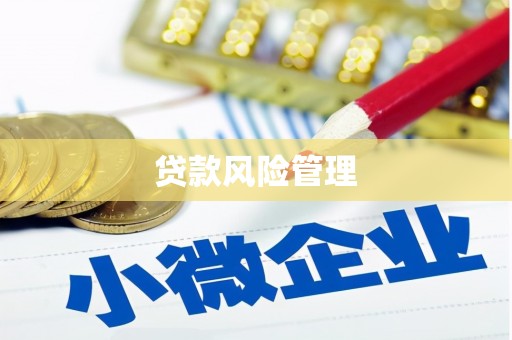 岚皋贷款风险管理