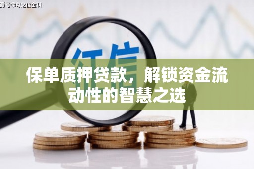 岚皋保单质押贷款，解锁资金流动性的智慧之选