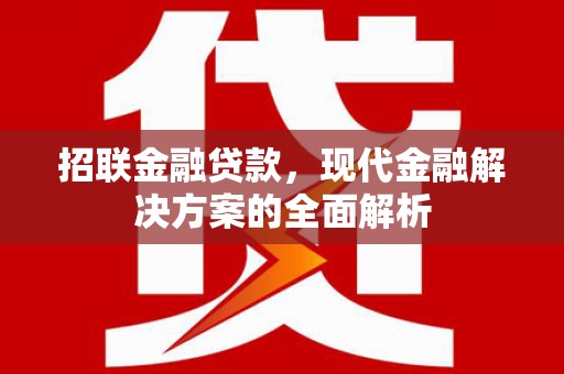 岚皋招联金融贷款，现代金融解决方案的全面解析