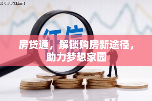 岚皋房贷通，解锁购房新途径，助力梦想家园