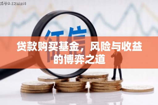 岚皋贷款购买基金，风险与收益的博弈之道