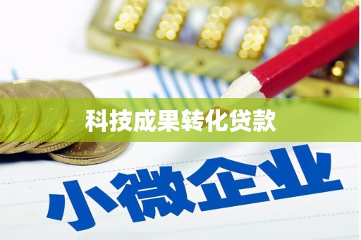 岚皋科技成果转化贷款