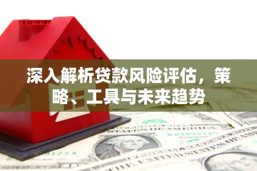 岚皋深入解析贷款风险评估，策略、工具与未来趋势