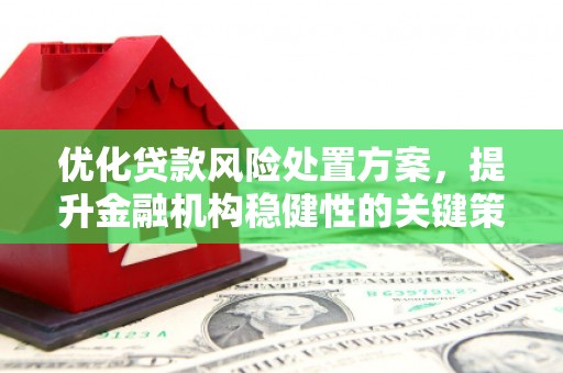 岚皋优化贷款风险处置方案，提升金融机构稳健性的关键策略