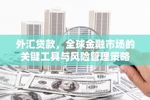 岚皋外汇贷款，全球金融市场的关键工具与风险管理策略