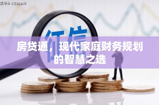 岚皋房贷通，现代家庭财务规划的智慧之选