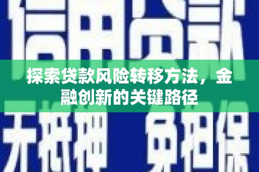 岚皋探索贷款风险转移方法，金融创新的关键路径