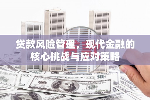 岚皋贷款风险管理，现代金融的核心挑战与应对策略
