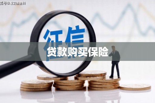 岚皋贷款购买保险