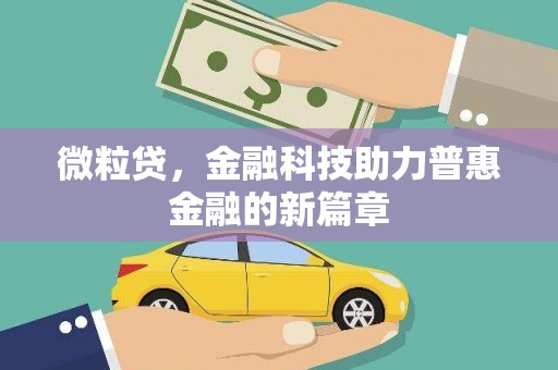 岚皋微粒贷，金融科技助力普惠金融的新篇章