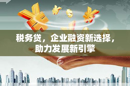 岚皋税务贷，企业融资新选择，助力发展新引擎