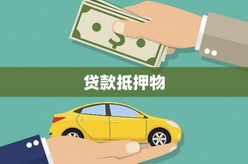 岚皋贷款抵押物