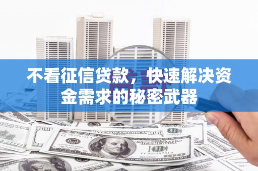 岚皋不看征信贷款，快速解决资金需求的秘密武器