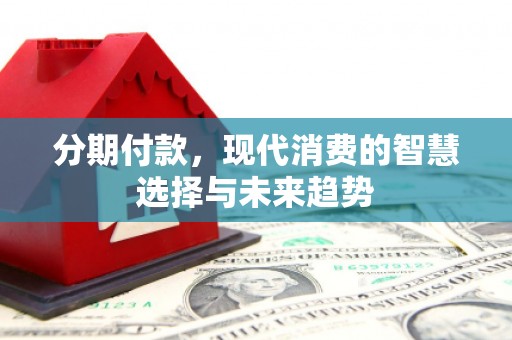 岚皋分期付款，现代消费的智慧选择与未来趋势