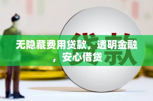 岚皋无隐藏费用贷款，透明金融，安心借贷