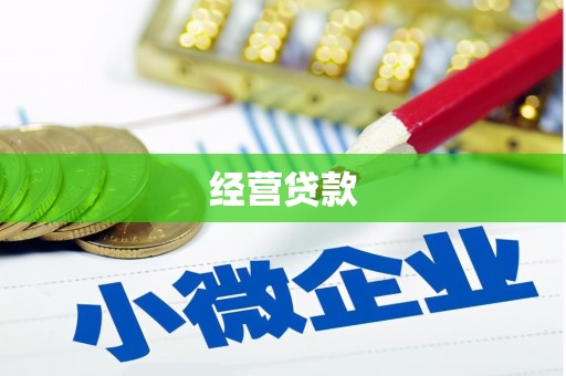岚皋经营贷款