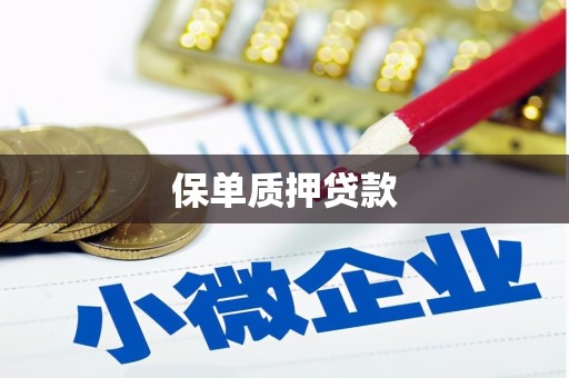 岚皋保单质押贷款